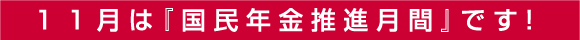 １１月は『国民年金推進月間』です！