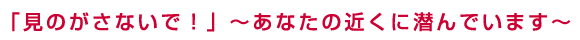 「見のがさないで！」～あなたの近くに潜んでいます～
