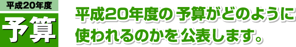 平成20年度予算