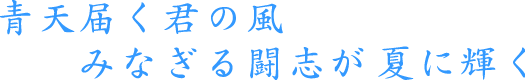 青天届く君の風