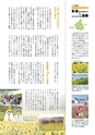 広報北中城3月号