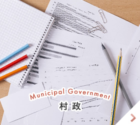 Municipal Government 村政