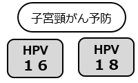 HPV16・HPV18(子宮頸がん予防)