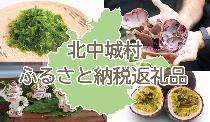 北中城村のふるさと納税